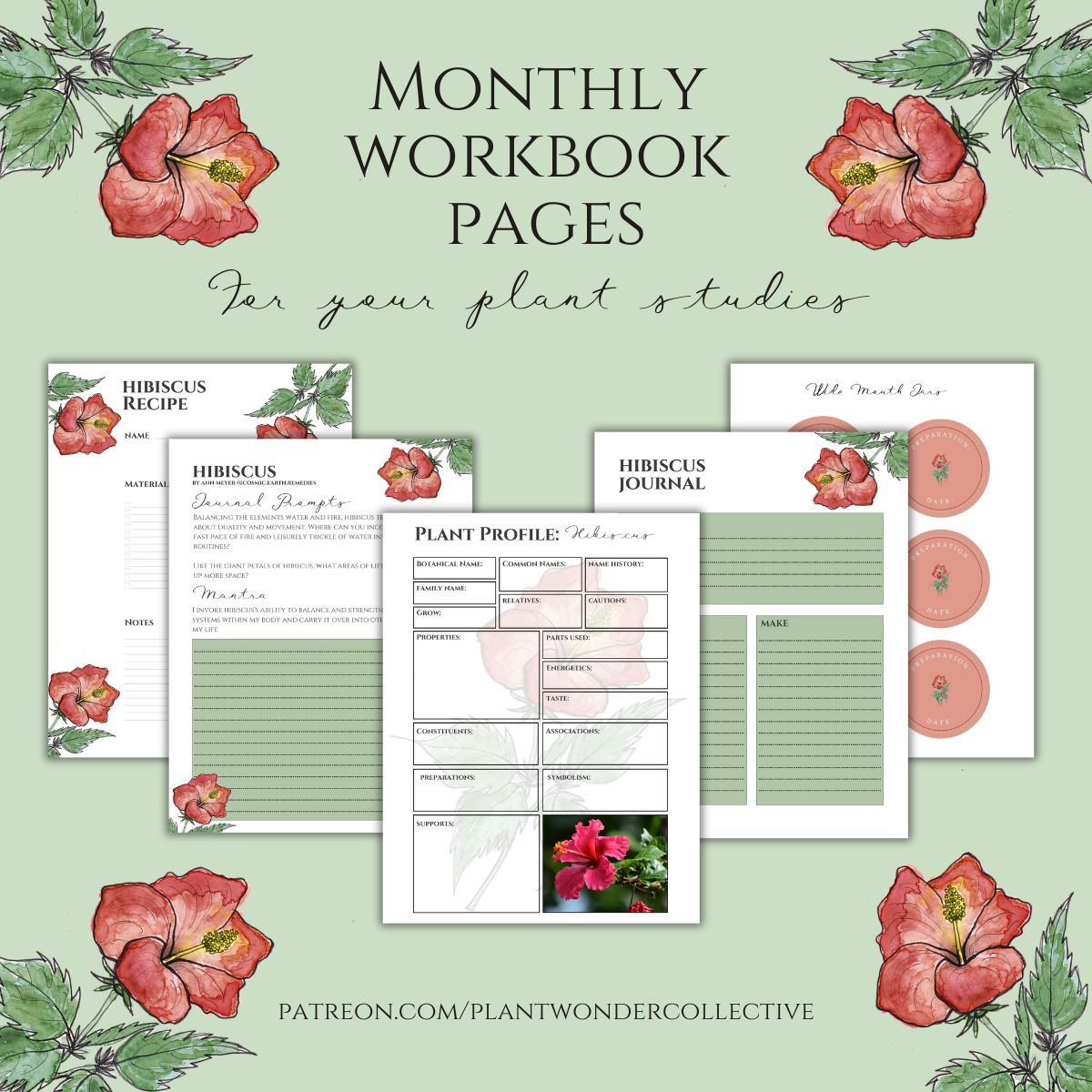 Hibiscus Workbook Printables