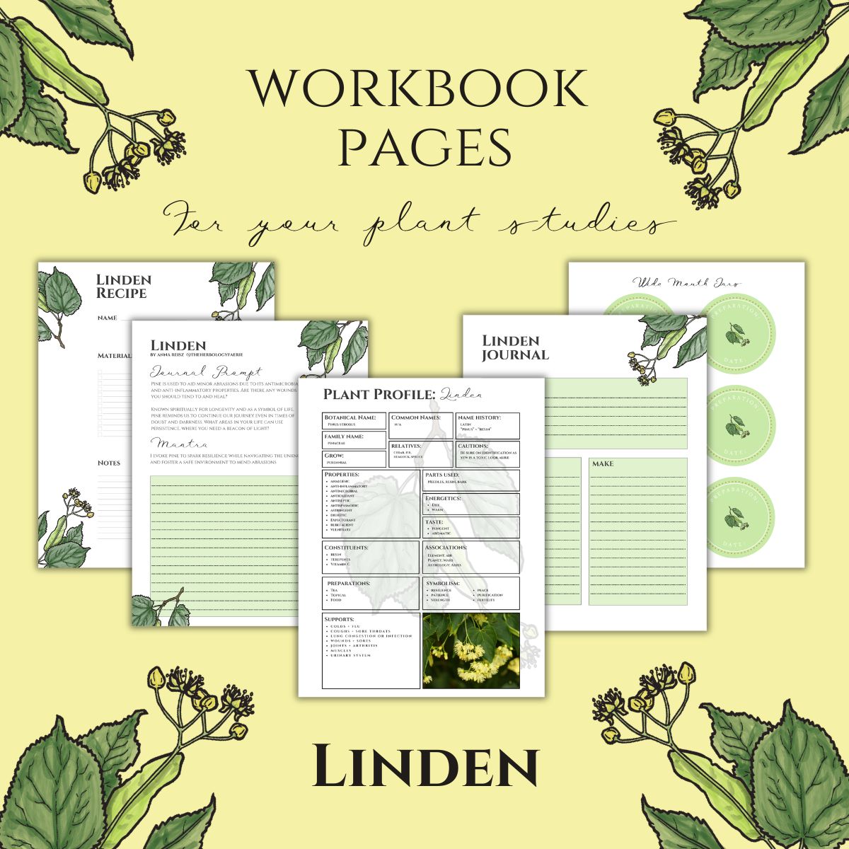 Linden Workbook Printables