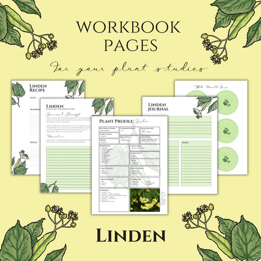 Linden Workbook Printables