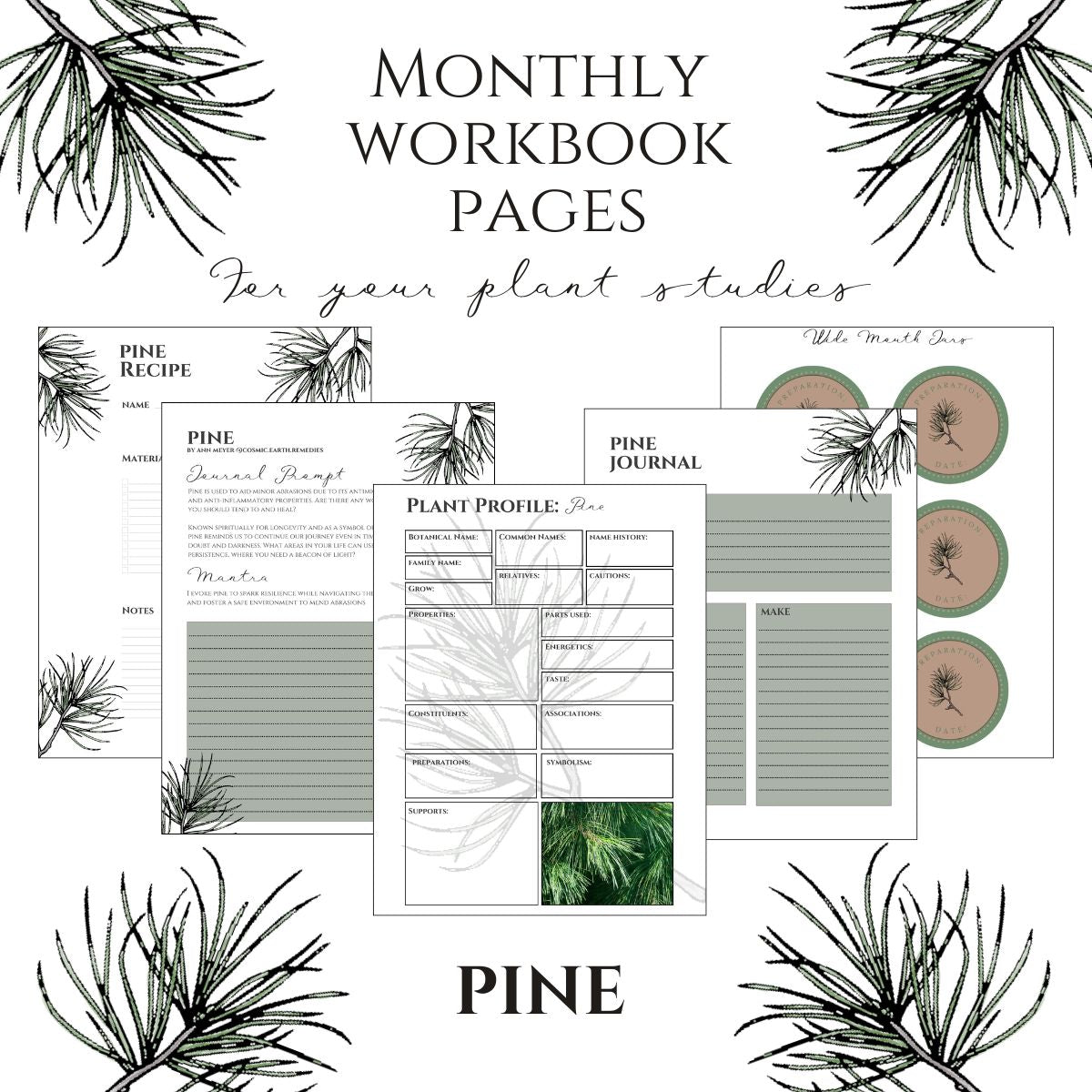 Pine Workbook Printables