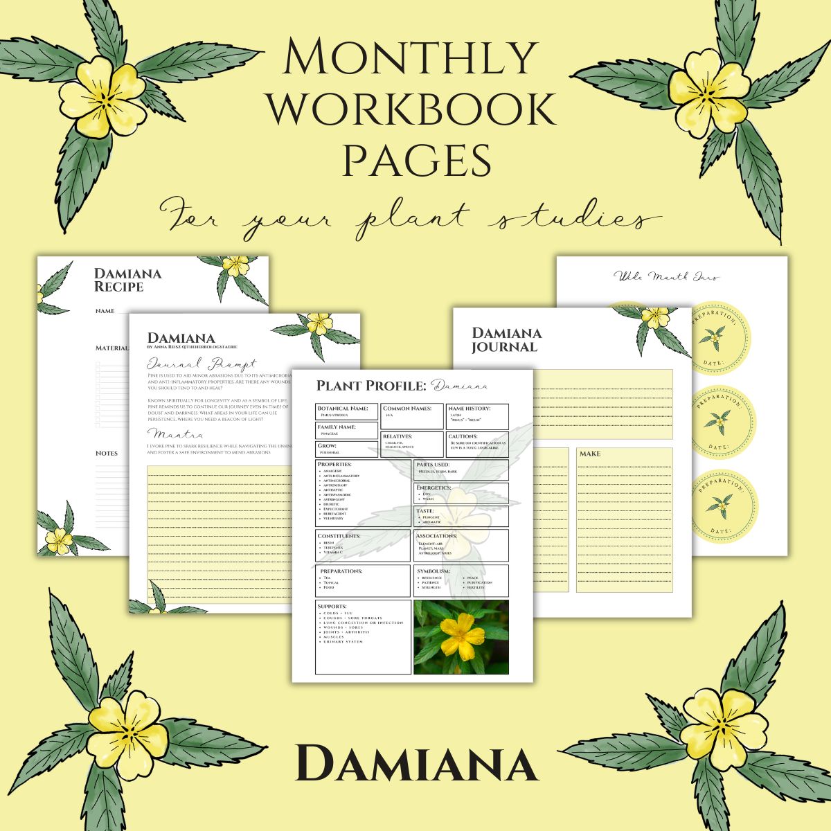 Damiana Workbook Printables