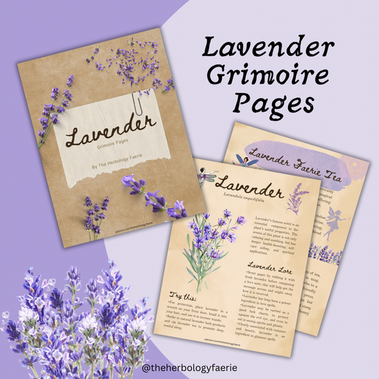 Lavender Grimoire Pages by The Herbology Faerie