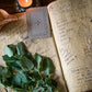All About Lemon Balm Booklet (Digital)