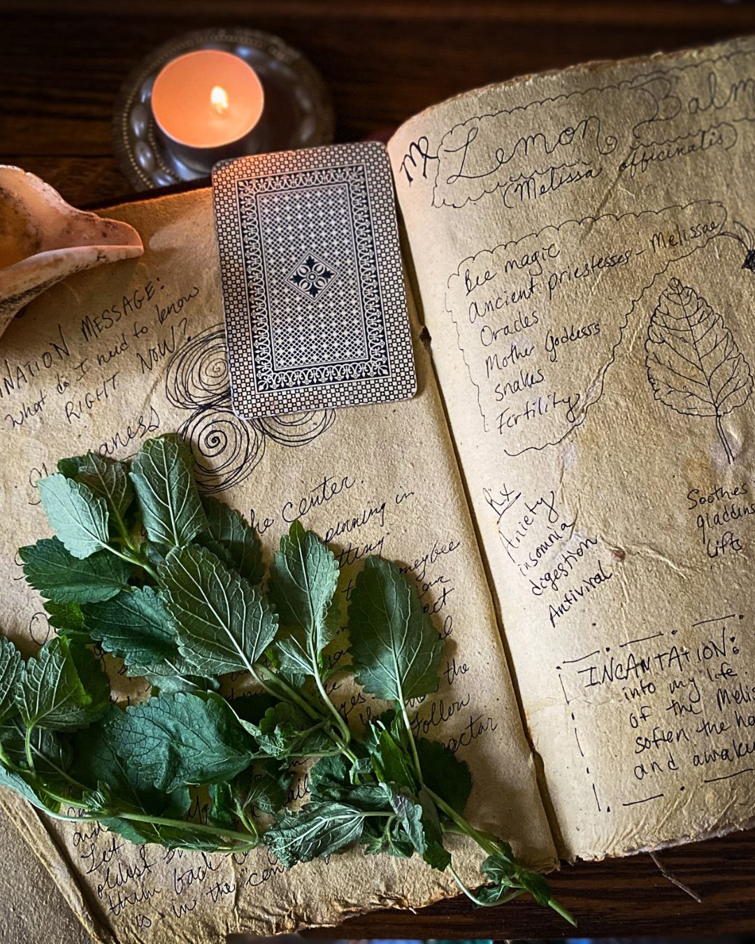 All About Lemon Balm Booklet (Digital)
