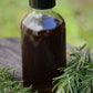 All About Rosemary Booklet