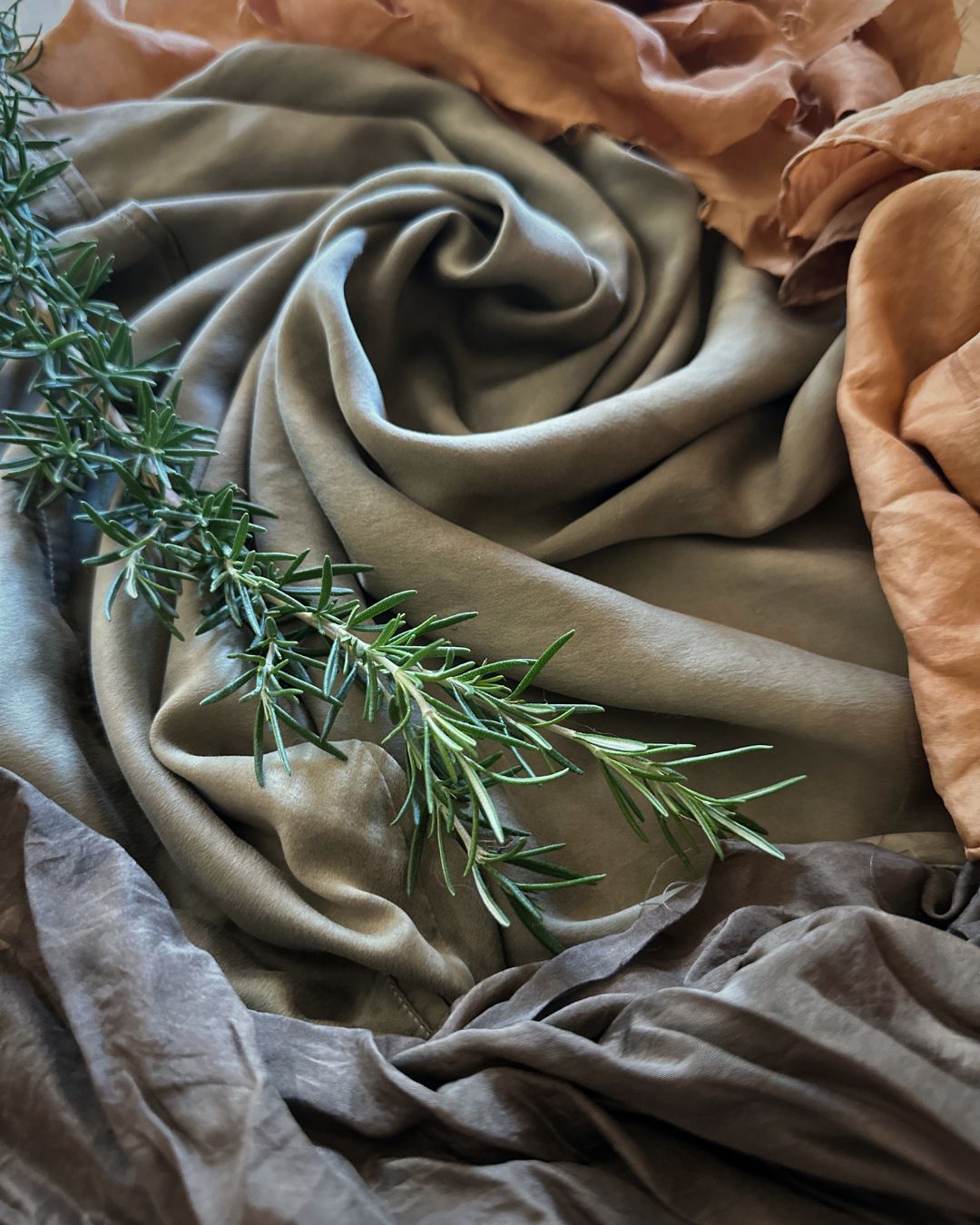 All About Rosemary Booklet