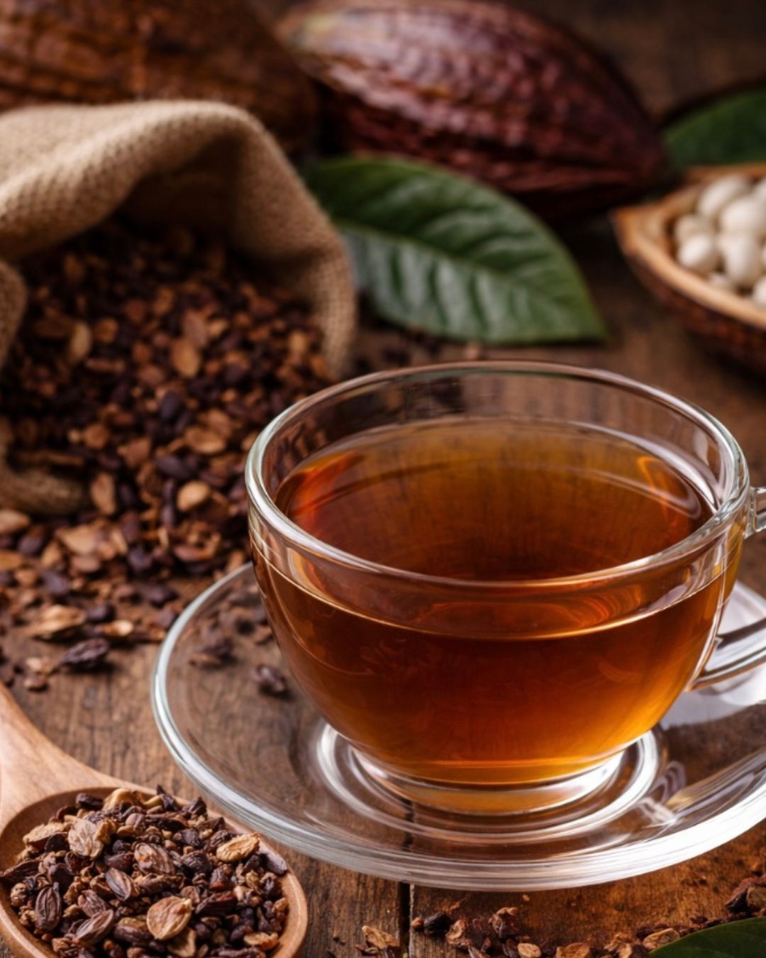 All About Cacao Booklet (Digital)