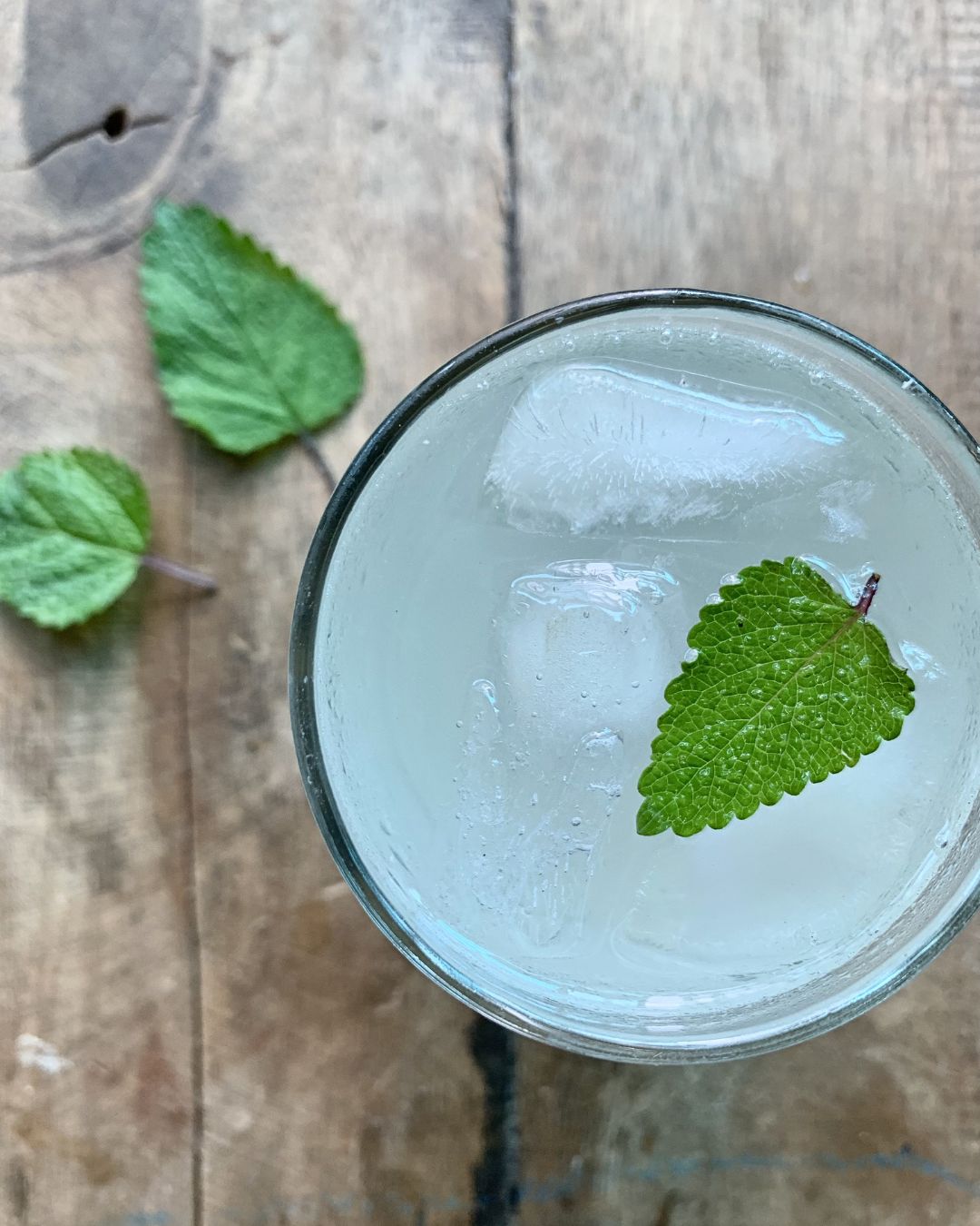 All About Lemon Balm Booklet (Digital)