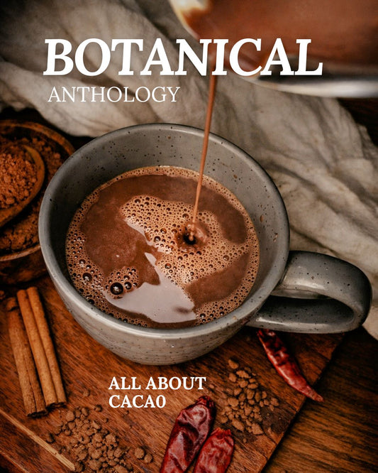 All About Cacao Booklet (Digital)