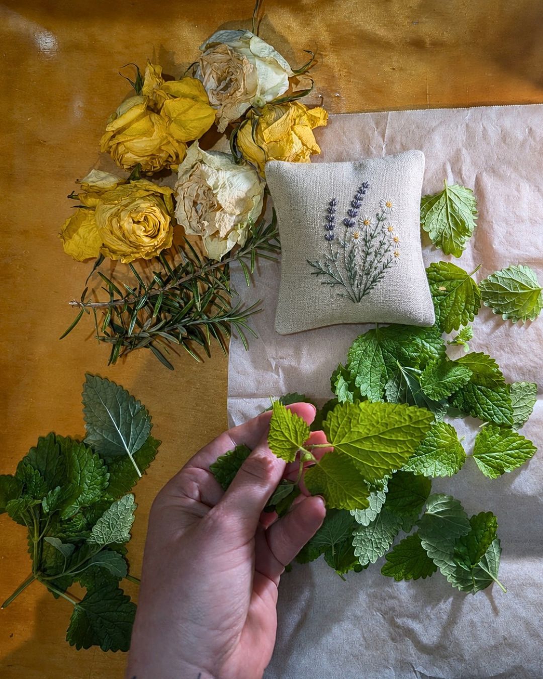 All About Lemon Balm Booklet (Digital)