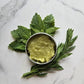 All About Lemon Balm Booklet (Digital)