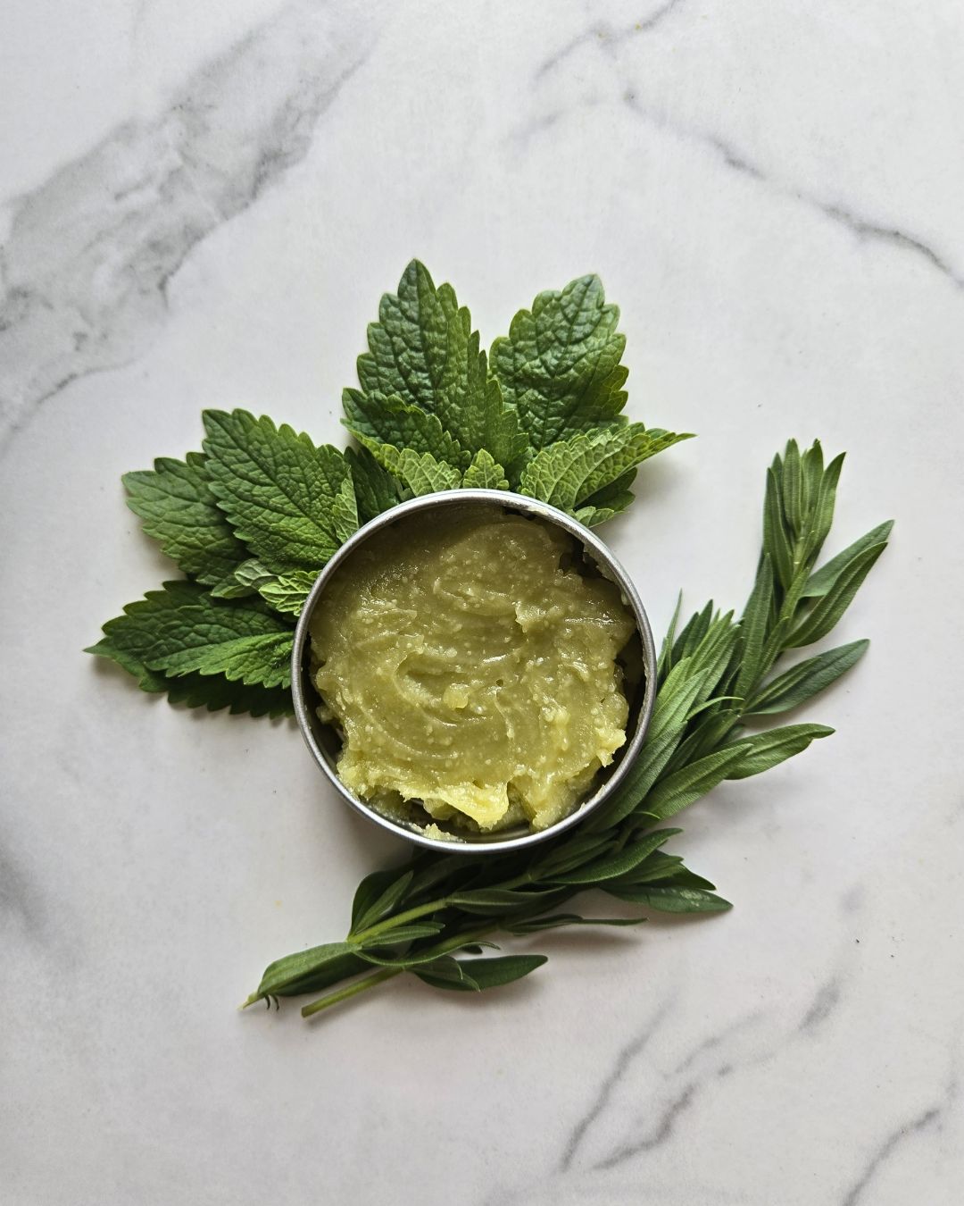 All About Lemon Balm Booklet (Digital)