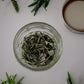 All About Rosemary Booklet