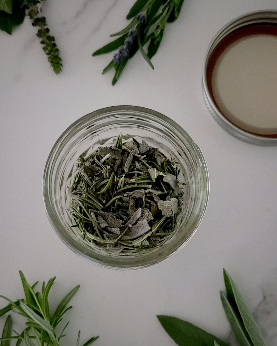 All About Rosemary Booklet