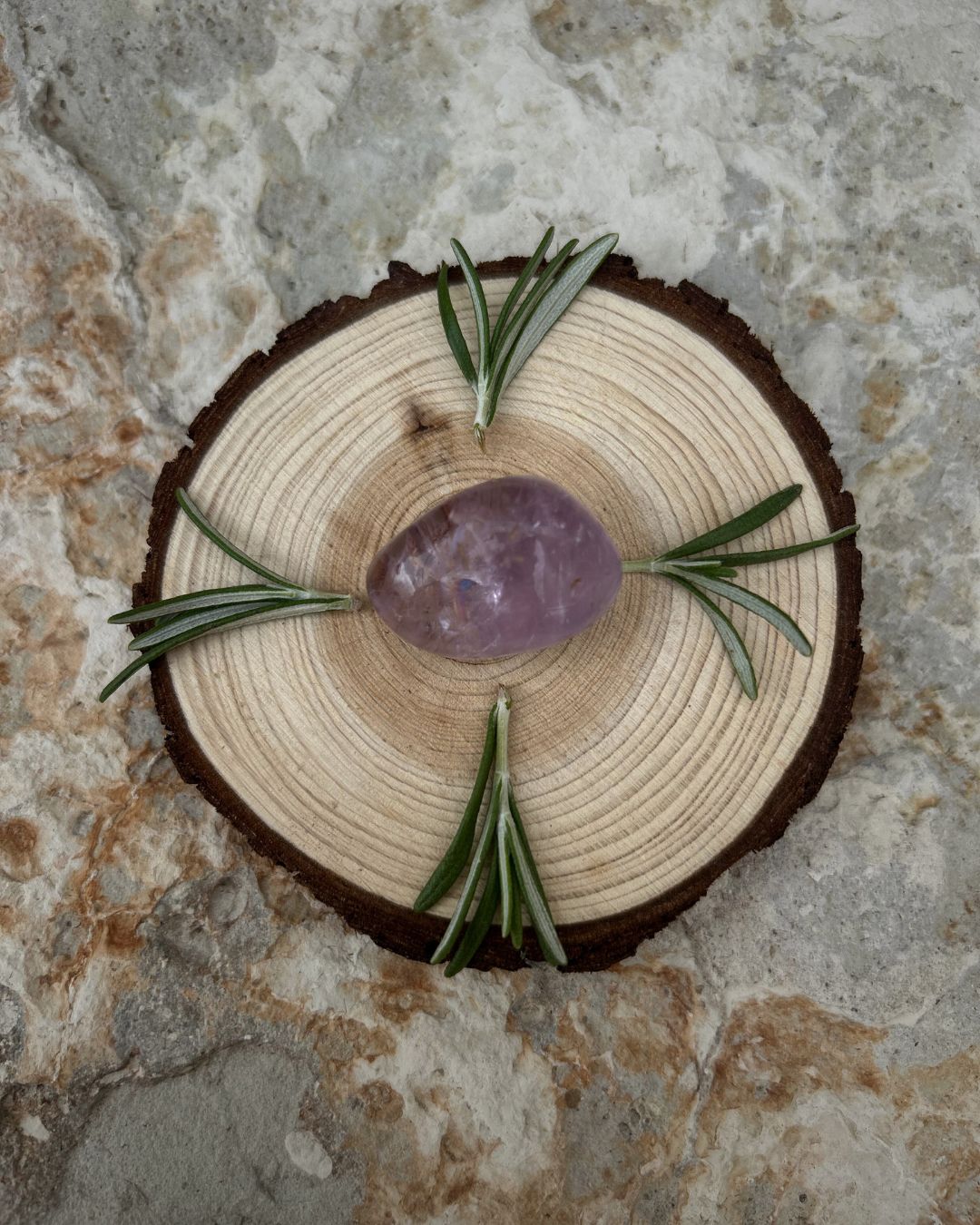 All About Rosemary Booklet