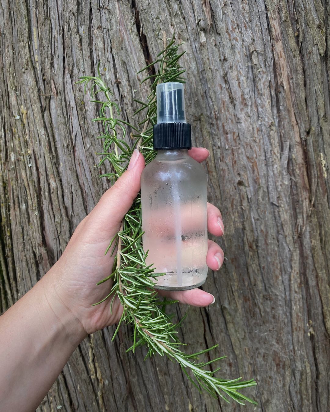All About Rosemary Booklet