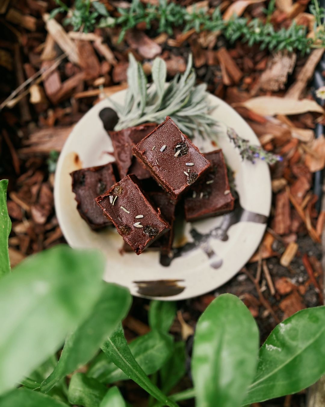 All About Cacao Booklet (Digital)