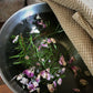 All About Rosemary Booklet