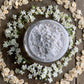 Guide to Herbal Facial Care (Print)
