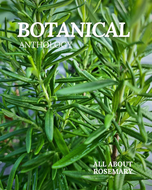 All About Rosemary Booklet