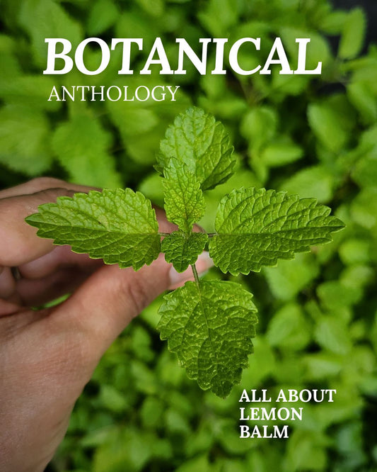 All About Lemon Balm Booklet (Digital)