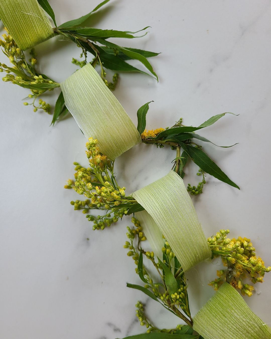 Wholesale: Botanical Anthology: Summer 2025 Print Version (Libraries)