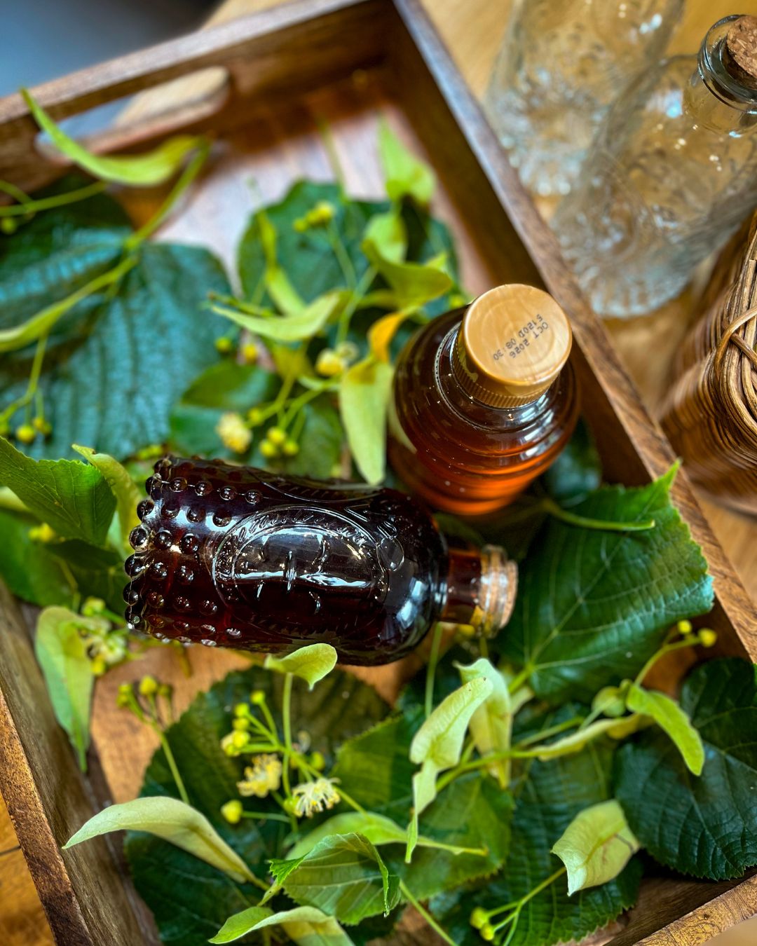 Wholesale: Botanical Anthology: Summer 2025 Print Version (Libraries)