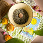 Wholesale: Botanical Anthology: Summer 2025 Print Version (Libraries)
