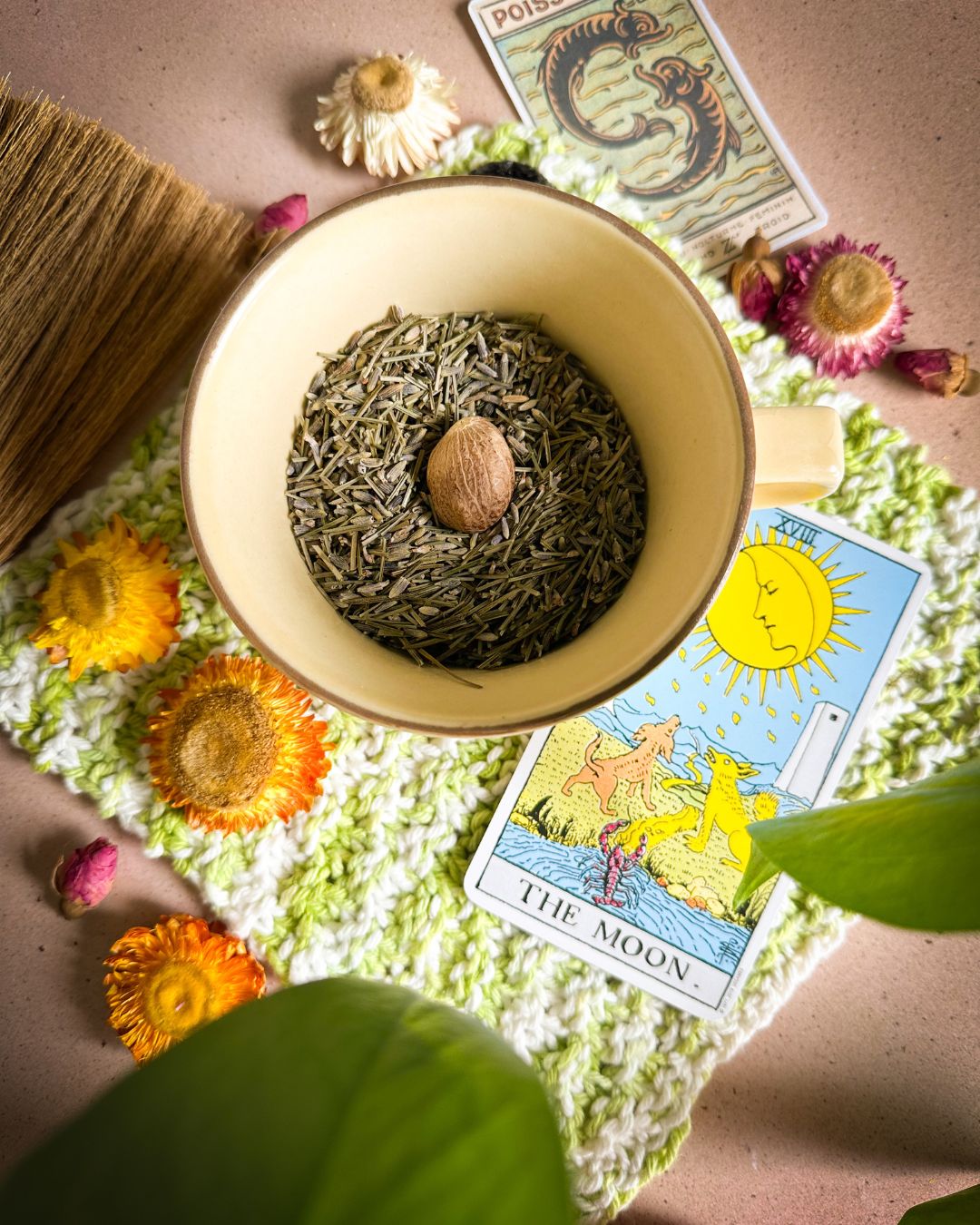 Wholesale: Botanical Anthology: Summer 2025 Print Version (Libraries)