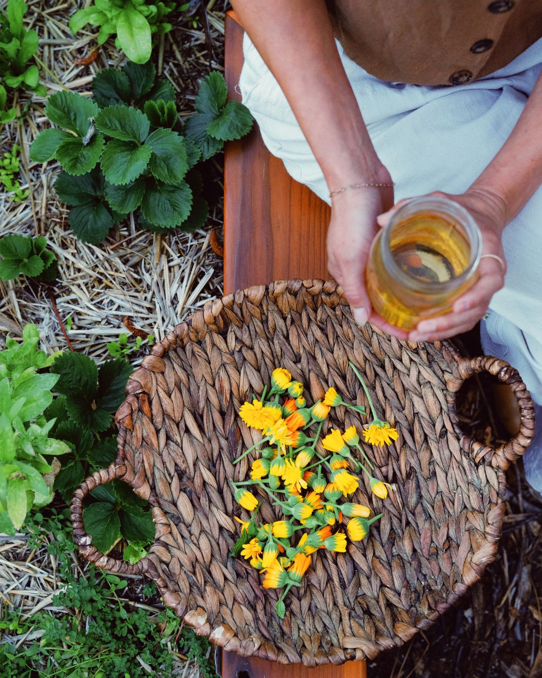 Wholesale: Botanical Anthology: Summer 2025 Print Version (Libraries)