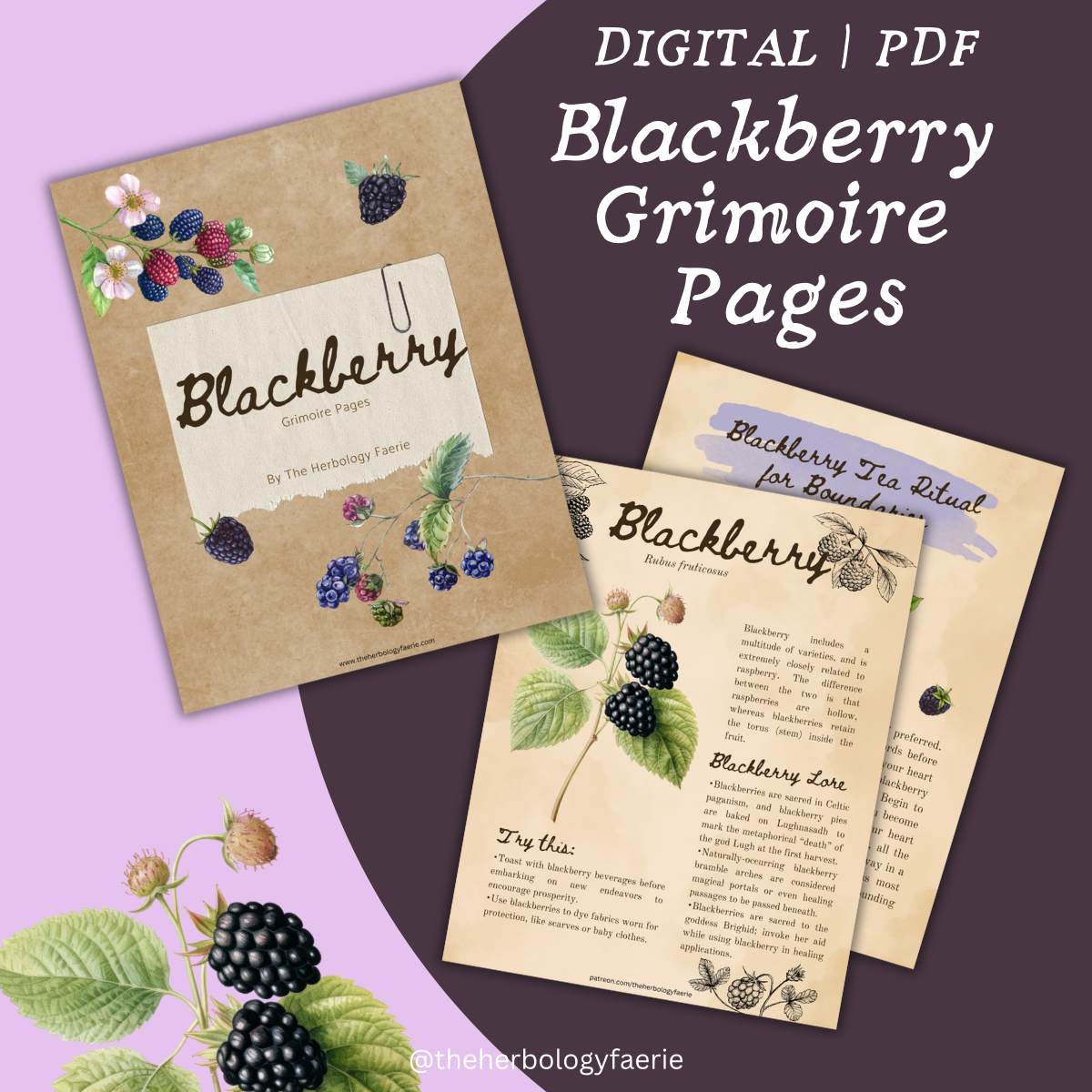 Blackberry Grimoire Pages by The Herbology Faerie