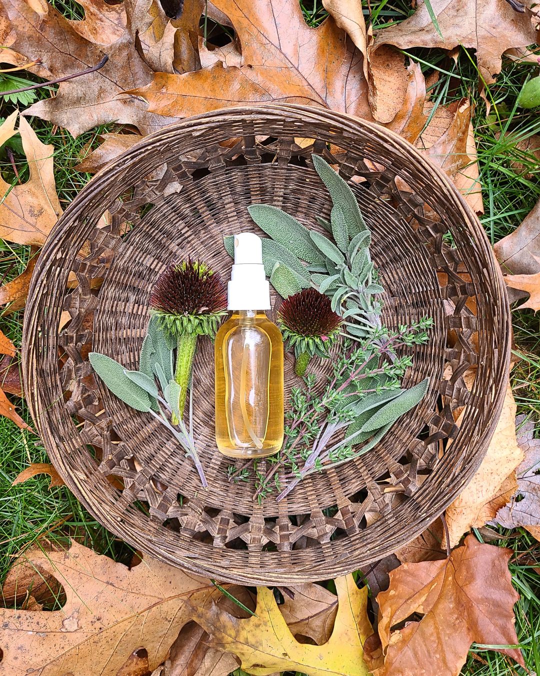 Botanical Anthology: Autumn Vol 4 | Issue 14 | 2025 (Digital)