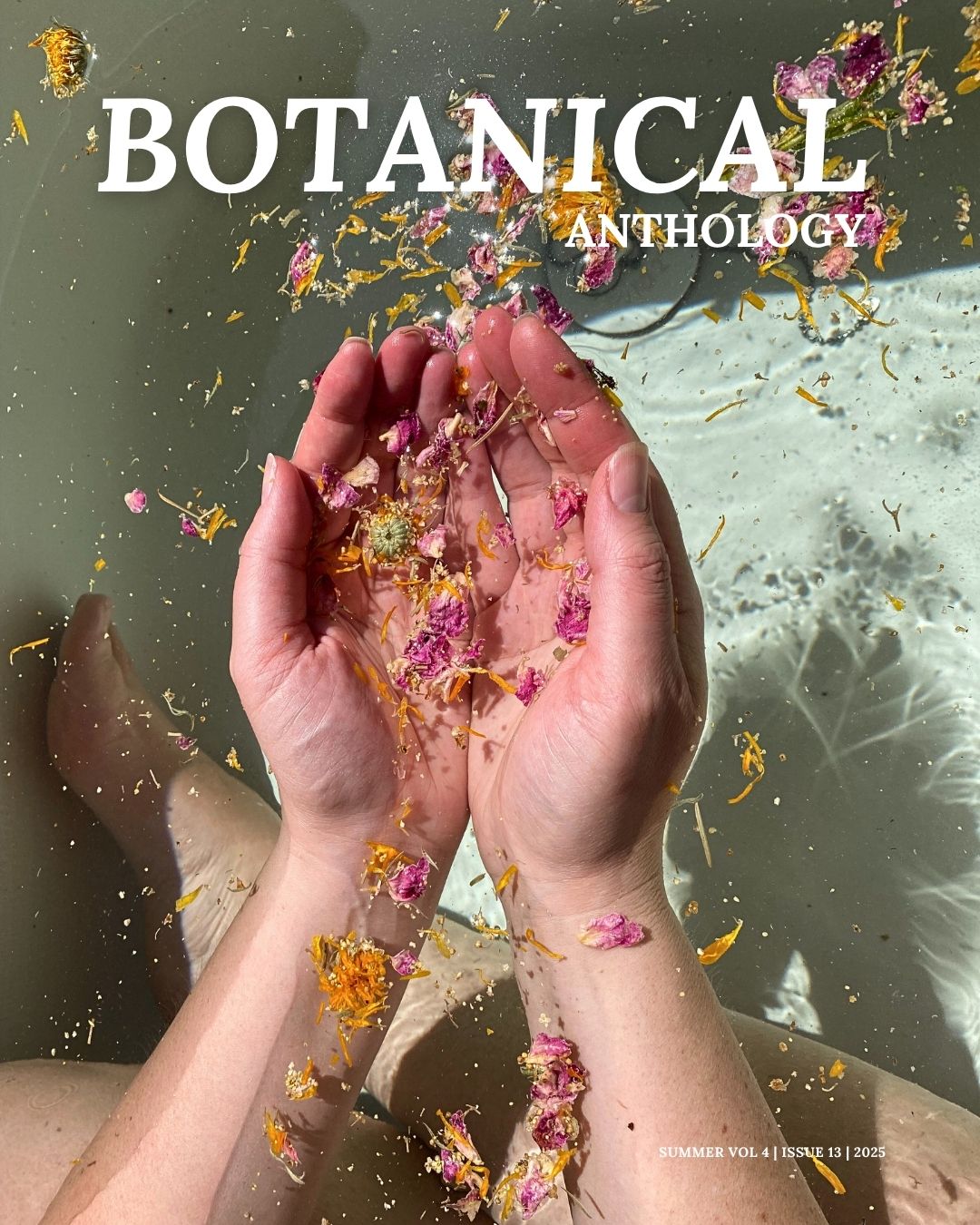 Wholesale: Botanical Anthology: Summer 2025 Print Version (Libraries)