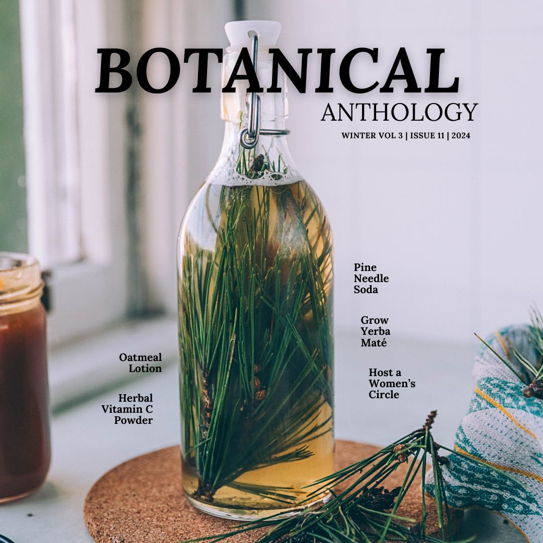 Botanical Anthology: Winter Vol 3 | Issue 11 | 2024 (Digital)