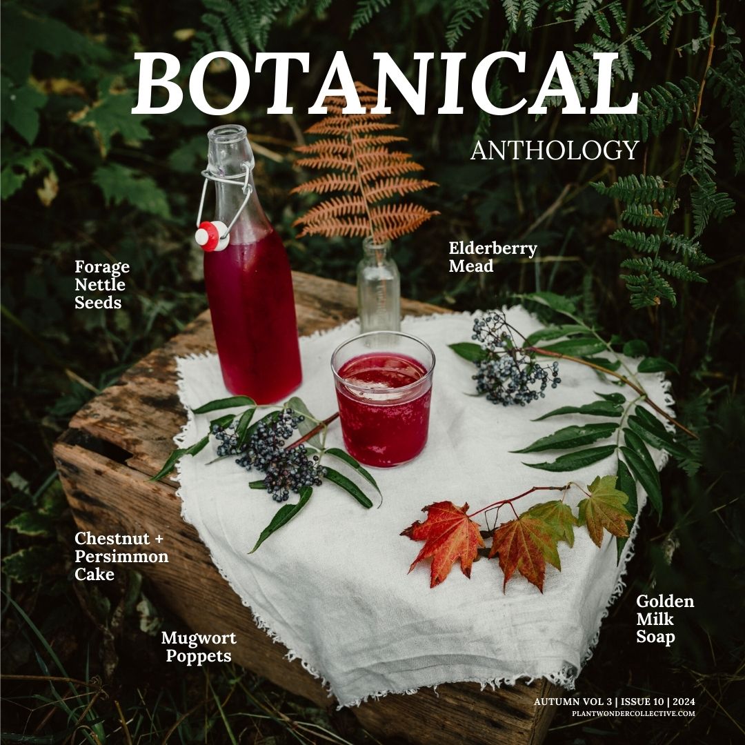 Botanical Anthology Autumn Love Bundle: Vol 1 +  Vol 2 + Vol 3 Editions (Print)