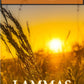 July/August Seasonal Guide: Lammas by Jenn Campus