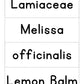 La-la-la Lemon Balm Expanded Curriculum Levels 1-4 by Herbal Roots Zine