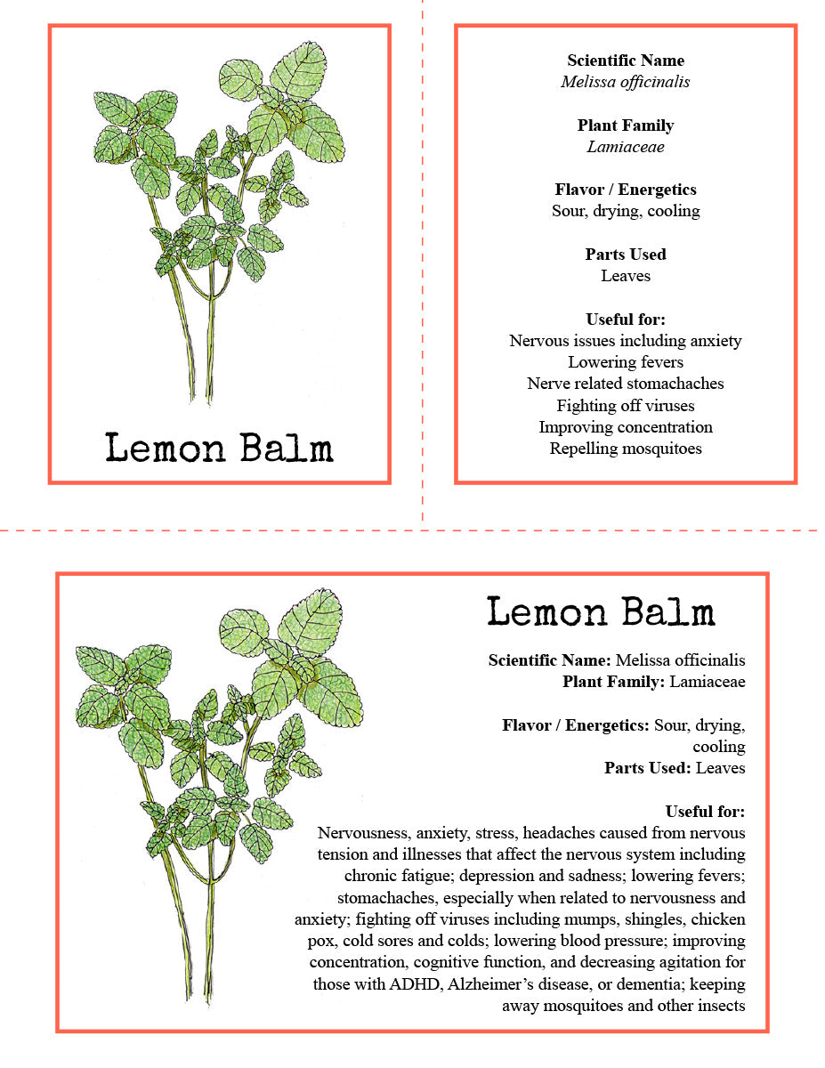 La-la-la Lemon Balm Expanded Curriculum Levels 1-4 by Herbal Roots Zine