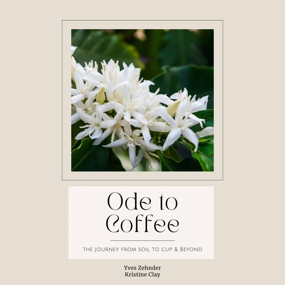Ode to Coffee: The Journey from Soil to Cup & Beyond by Sierra y Cielo