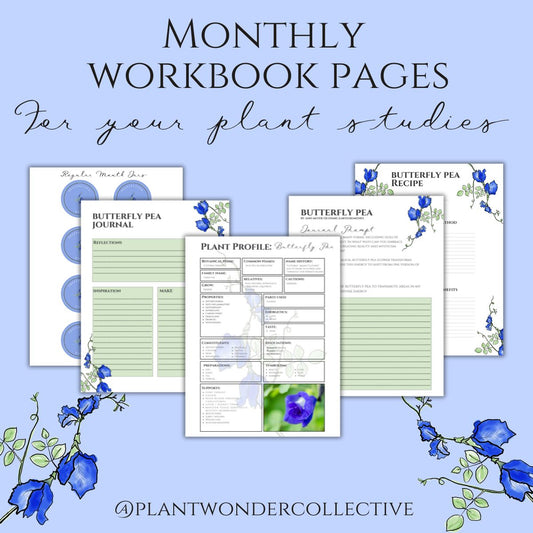 Butterfly Pea Workbook Printables