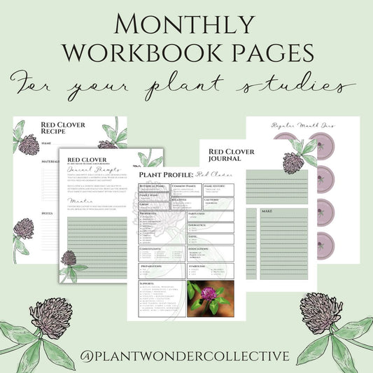 Red Clover Workbook Printables