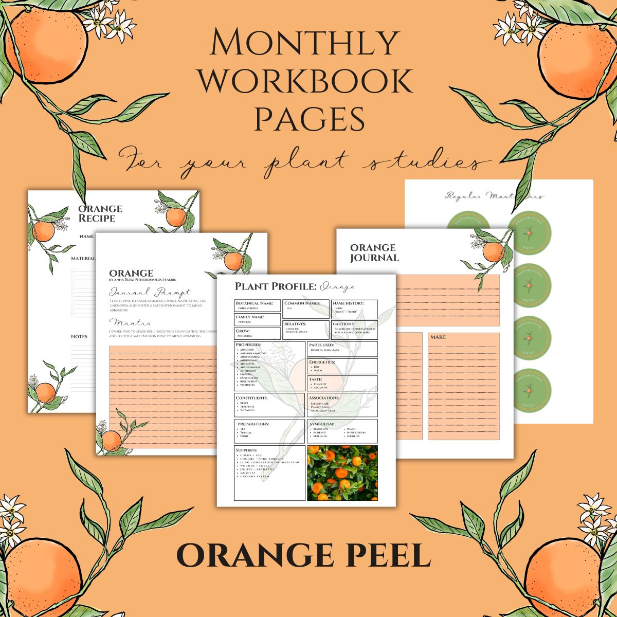 Orange Peel Workbook Printables