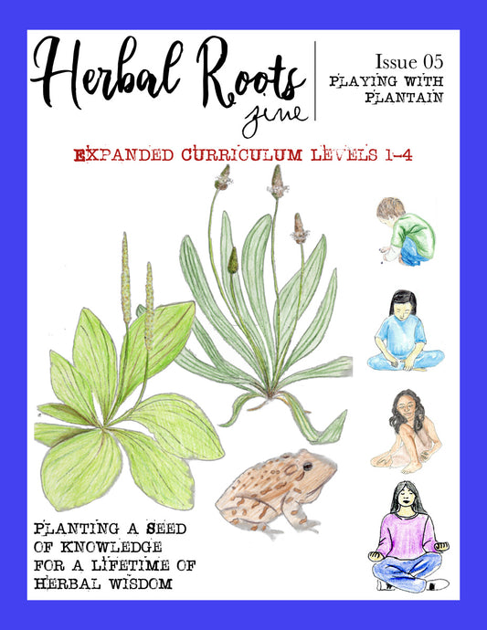 Playing with Plantain Expanded Curriculum Levels 1-4 by Herbal Roots Zine