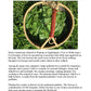 Playing with Plantain ebook by Herbal Roots Zine