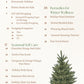The Natural Home in Winter Ebook by Mama Libelula