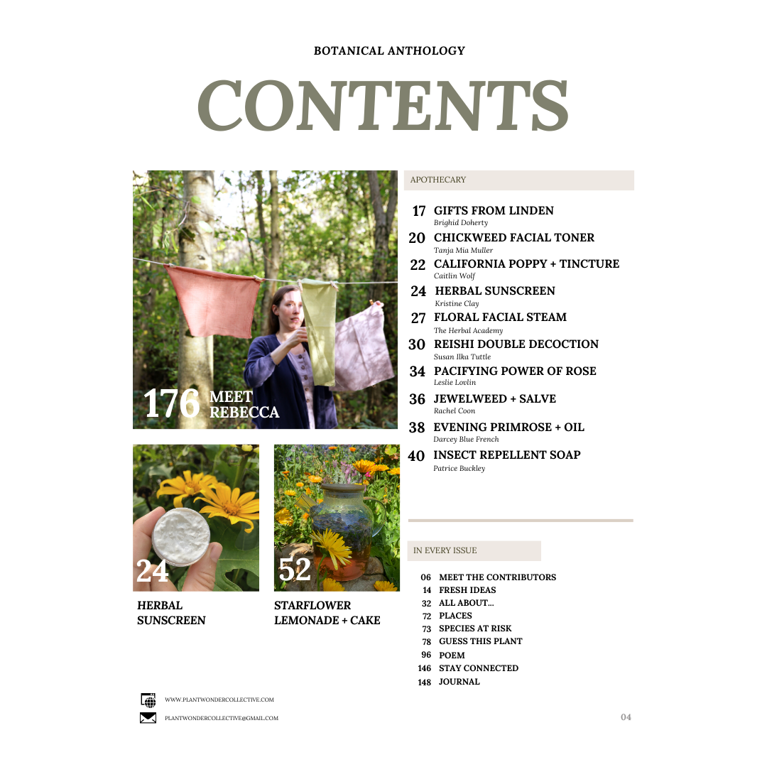 Botanical Anthology: Summer Vol 2 | Issue 5 | 2023 (Digital) + Info for Print Version