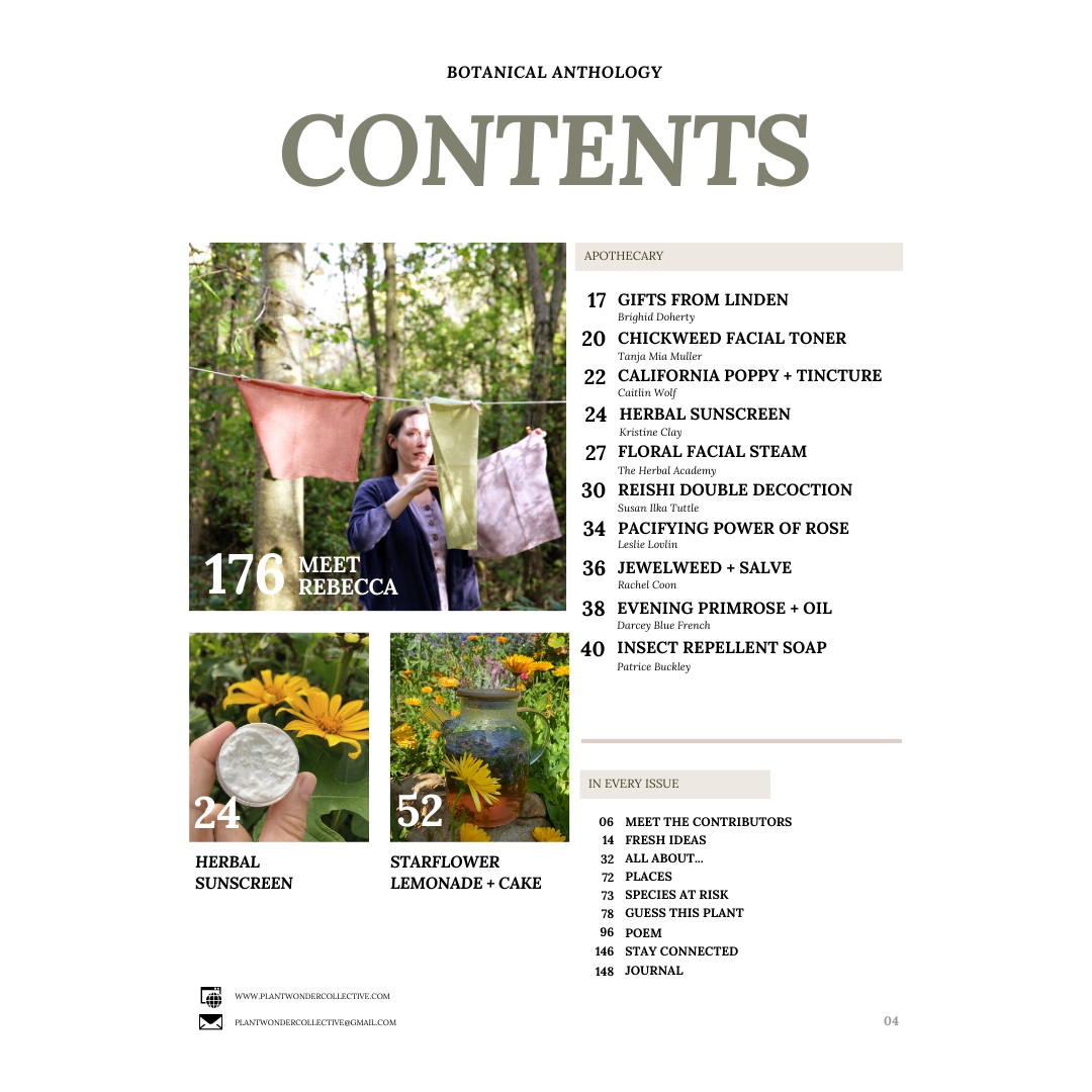 Wholesale: Botanical Anthology: Summer 2023 Print Version