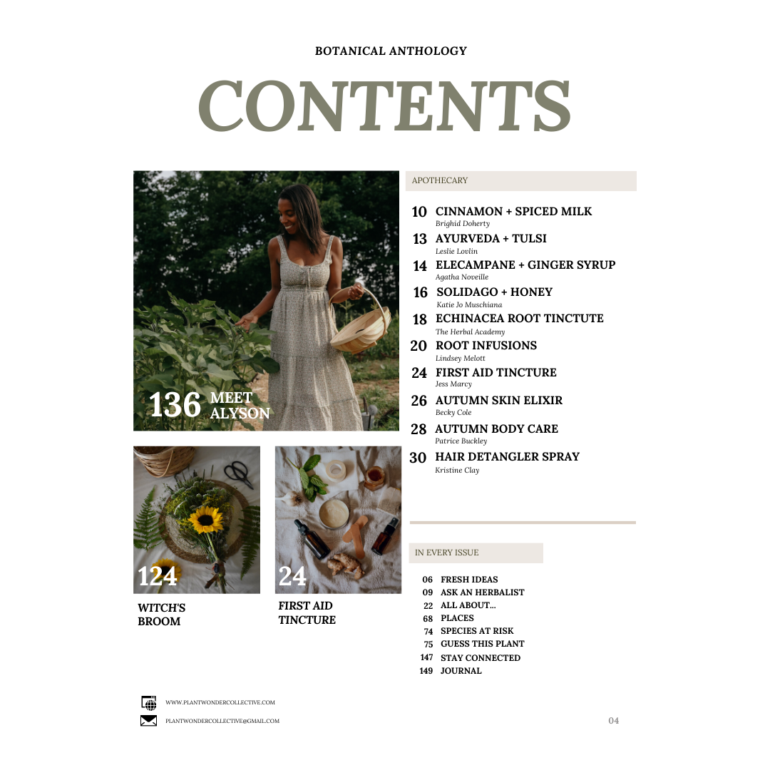 Botanical Anthology: Autumn Vol 2 | Issue 6 | 2023 (Print)