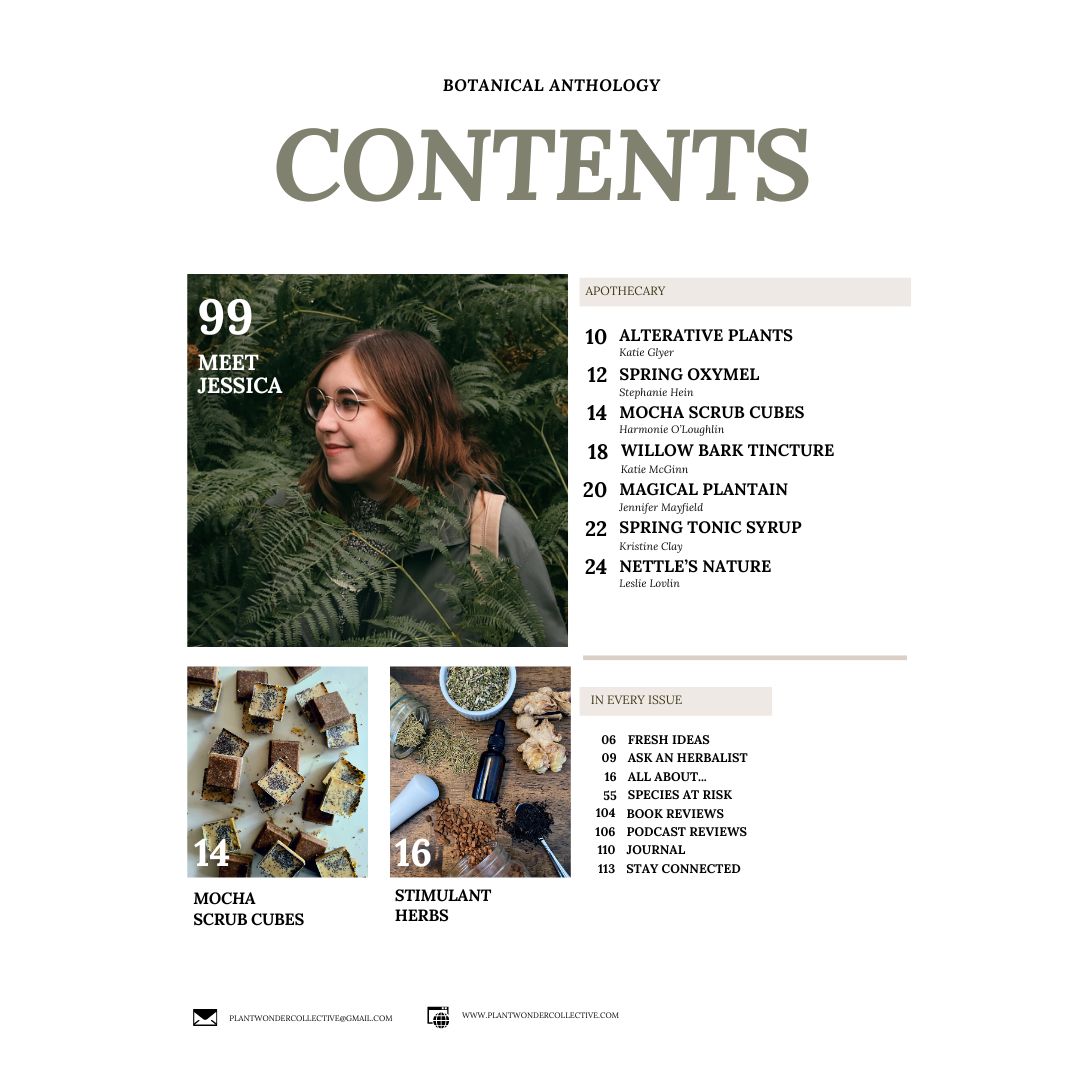 Botanical Anthology: Spring Vol 2 | Issue 8 | 2024 (Digital) + Info for Print Version