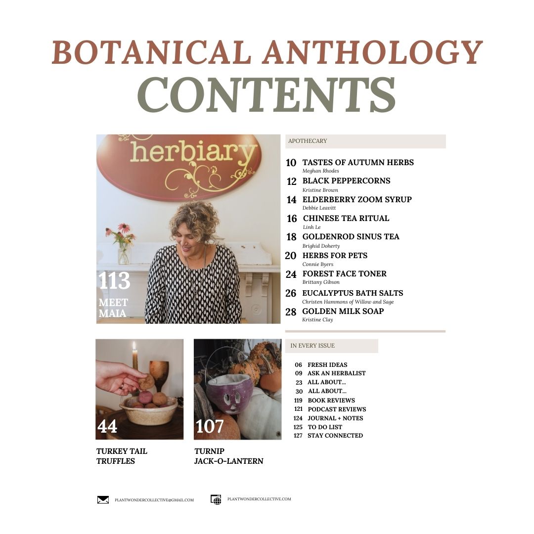 Botanical Anthology: Autumn Vol 3 | Issue 10 | 2024 (Print)